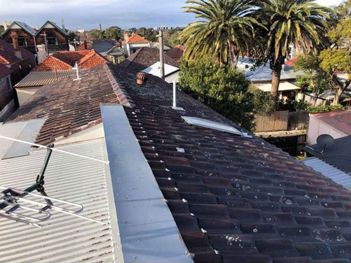 Commercial roof replacement project by All Roofing Services in Sydney