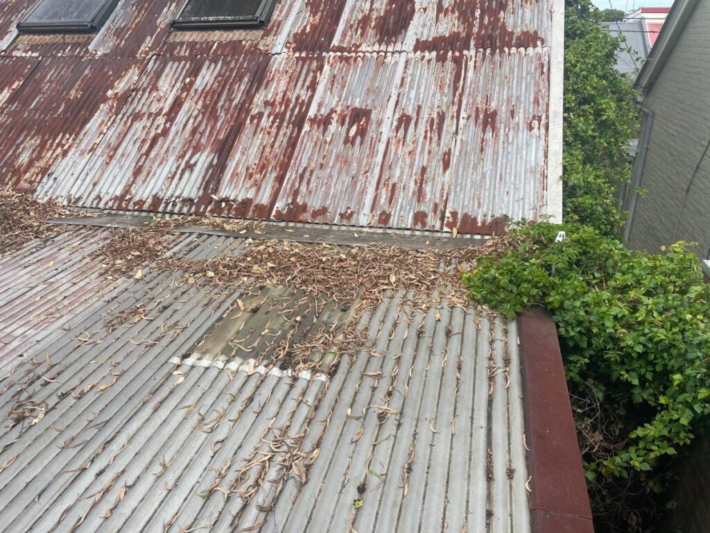 Roof replacement Camperdown