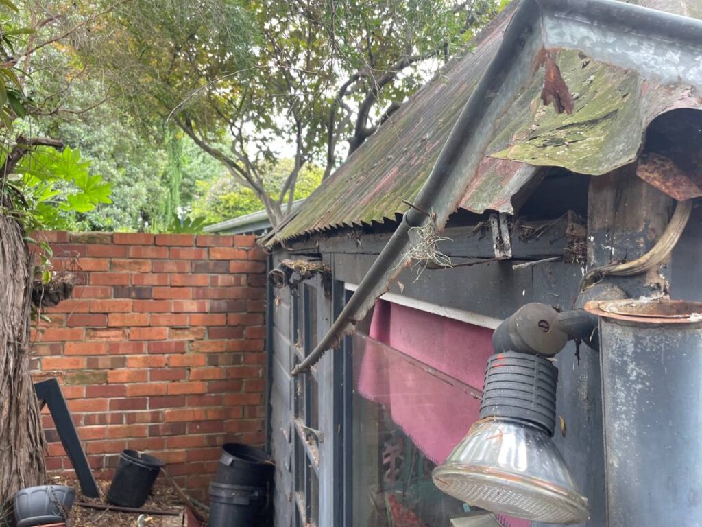 Roof replacement Camperdown